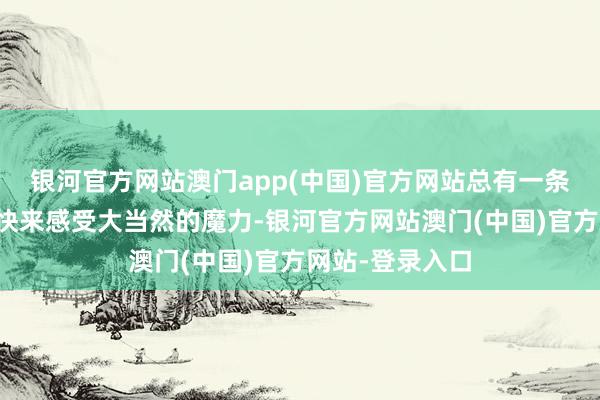 银河官方网站澳门app(中国)官方网站总有一条道路适应你！快来感受大当然的魔力-银河官方网站澳门(中国)官方网站-登录入口