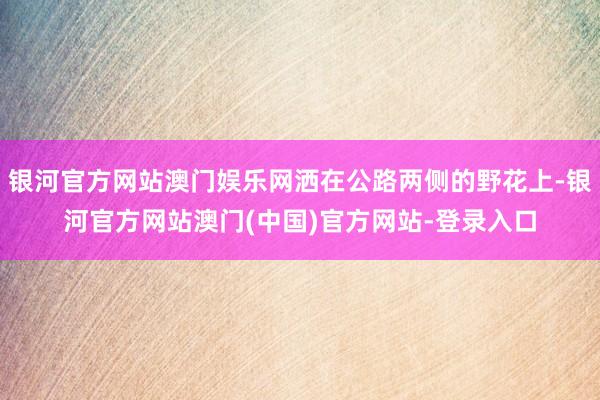 银河官方网站澳门娱乐网洒在公路两侧的野花上-银河官方网站澳门(中国)官方网站-登录入口
